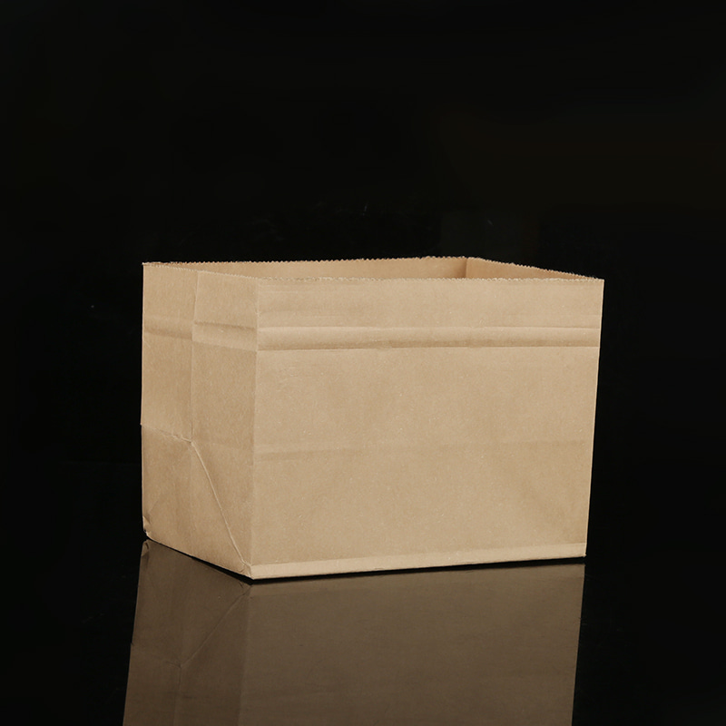 Bolsa de almacenamiento de papel Kraft